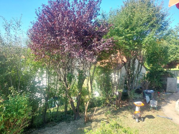 Gartenschnitt